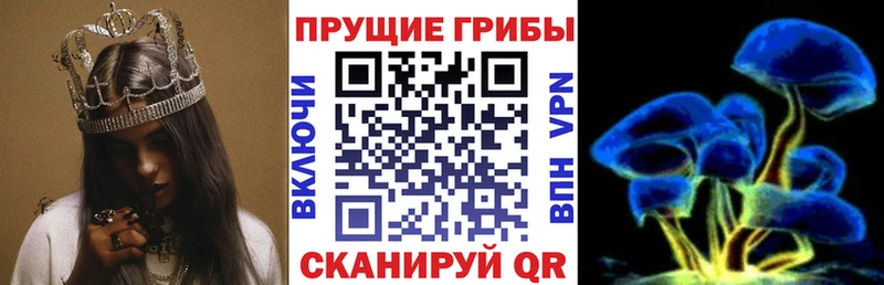 Галлюциногенные грибы Cubensis Гурьевск