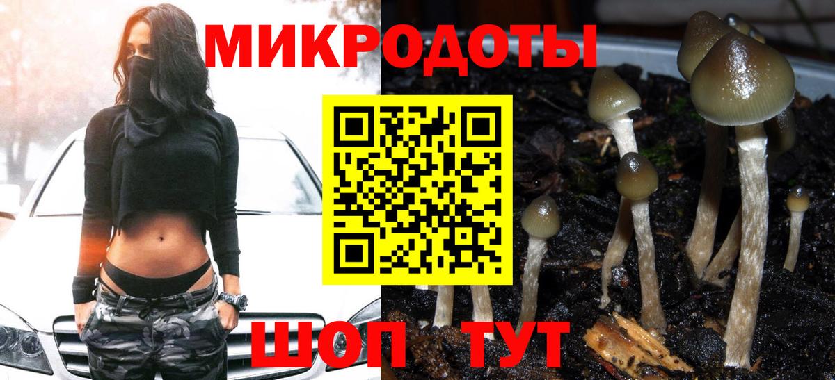 Гурьевск  Псилоцибиновые грибы MAGIC MUSHROOMS  Вход с VPN 